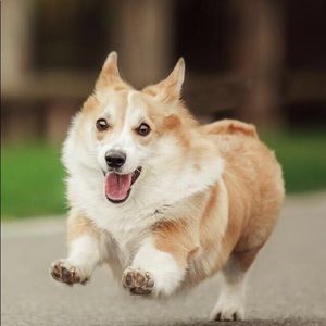 Meet your Posher, Alexandra